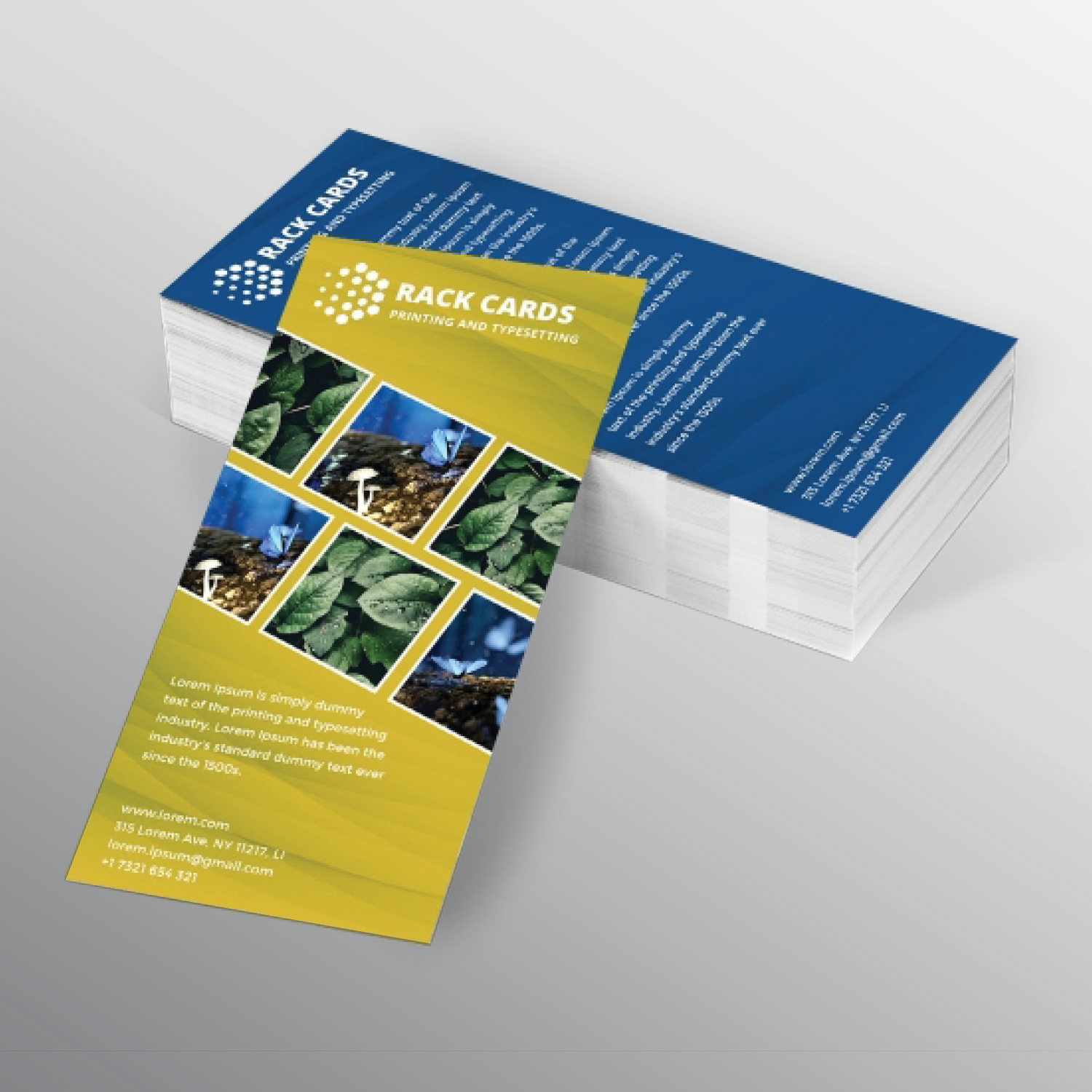 Full Color 4 x 9 Rack Cards